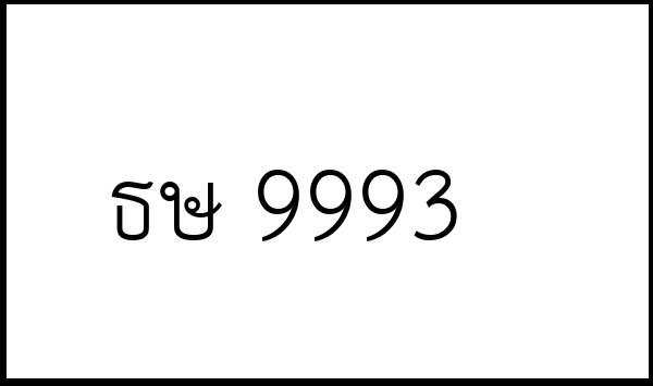 ธษ 9993